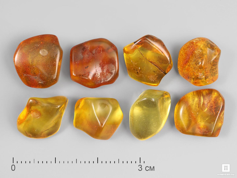 Amber Museum - Kaliningrad | Secret World Trip Planner