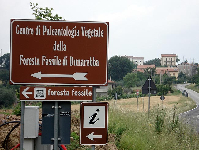 Fosilni gozd Dunarobba - 46 | Secret World Trip Planner