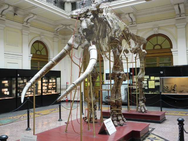 Museu Cívico de História Natural Giacomo Doria - Genova | Secret World Trip Planner