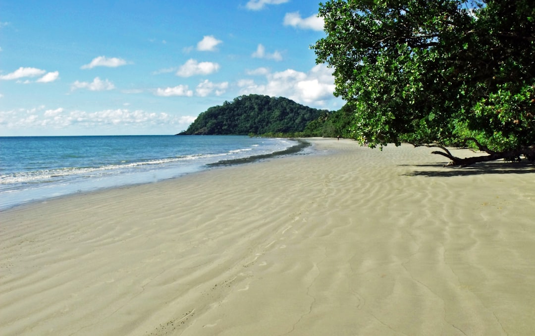 Cape Tribulation, a wonder of nature - capo Tribulation | Secret World Trip Planner