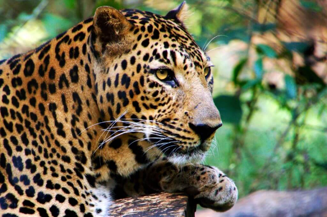 Parc national de Galway's Land - නුවරඑළිය | Secret World Trip Planner