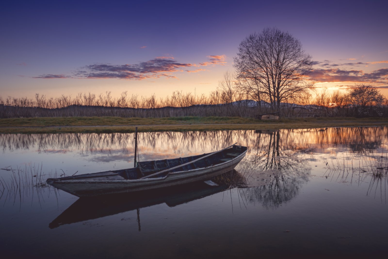 આ Padule ના Fucecchio - Fucecchio | Secret World Trip Planner