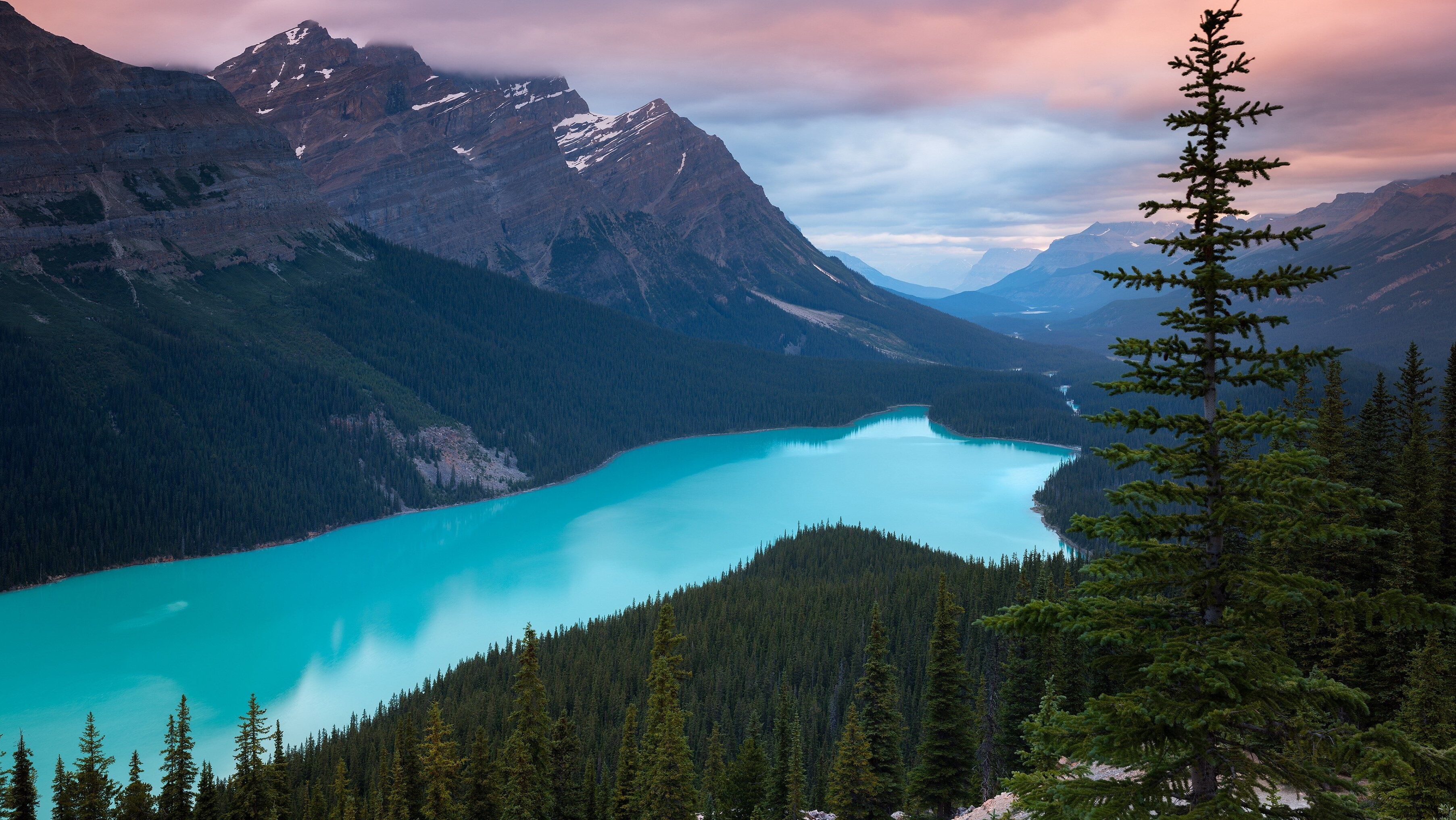Canada : le lac Peyto, une merveille de la nature — Improvement District No. 9