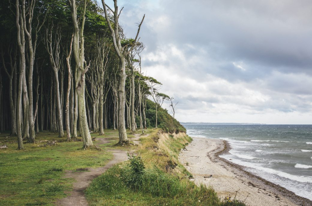 Forêt fantôme de Nienhagen - Nienhagen | Secret World Trip Planner