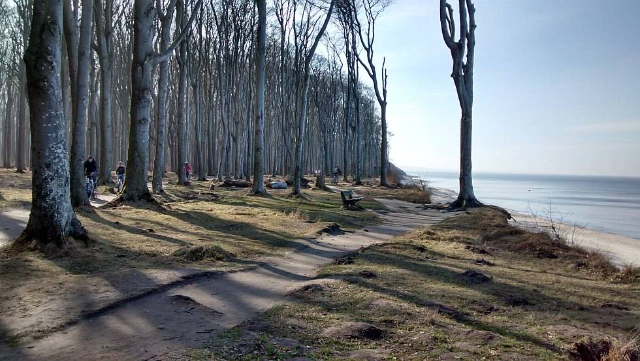 Forêt fantôme de Nienhagen - Nienhagen | Secret World Trip Planner