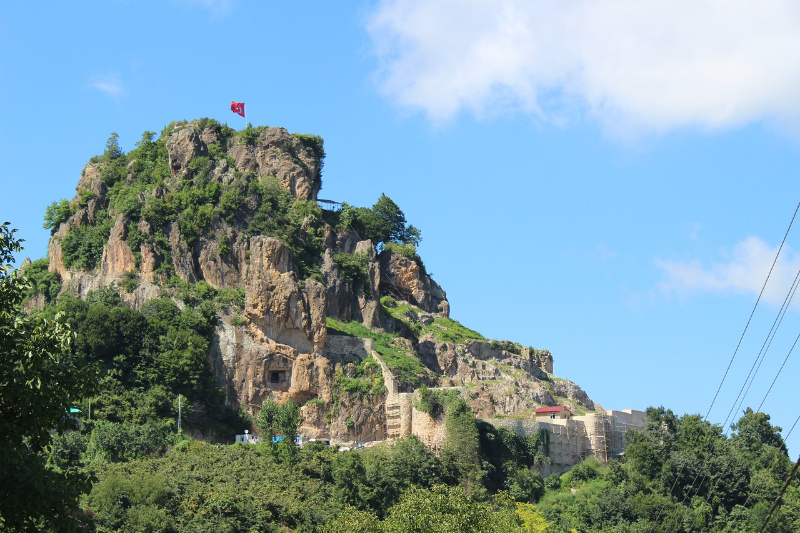 CHÂTEAU DE GOLKOY — Kale