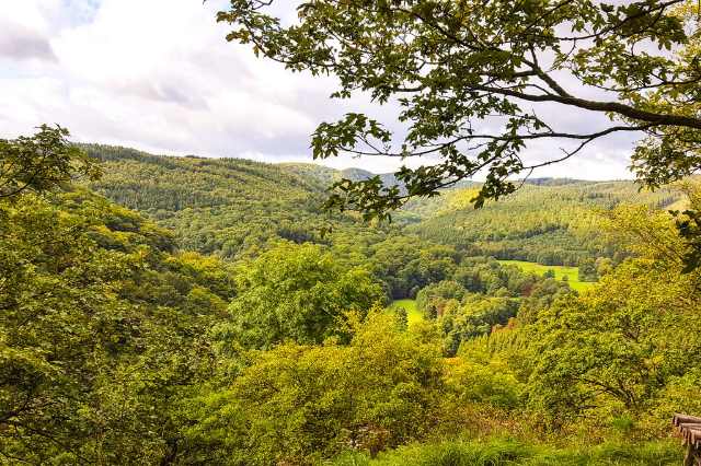 Randonnée : Chemin de Selketal - Stiege | Secret World Trip Planner