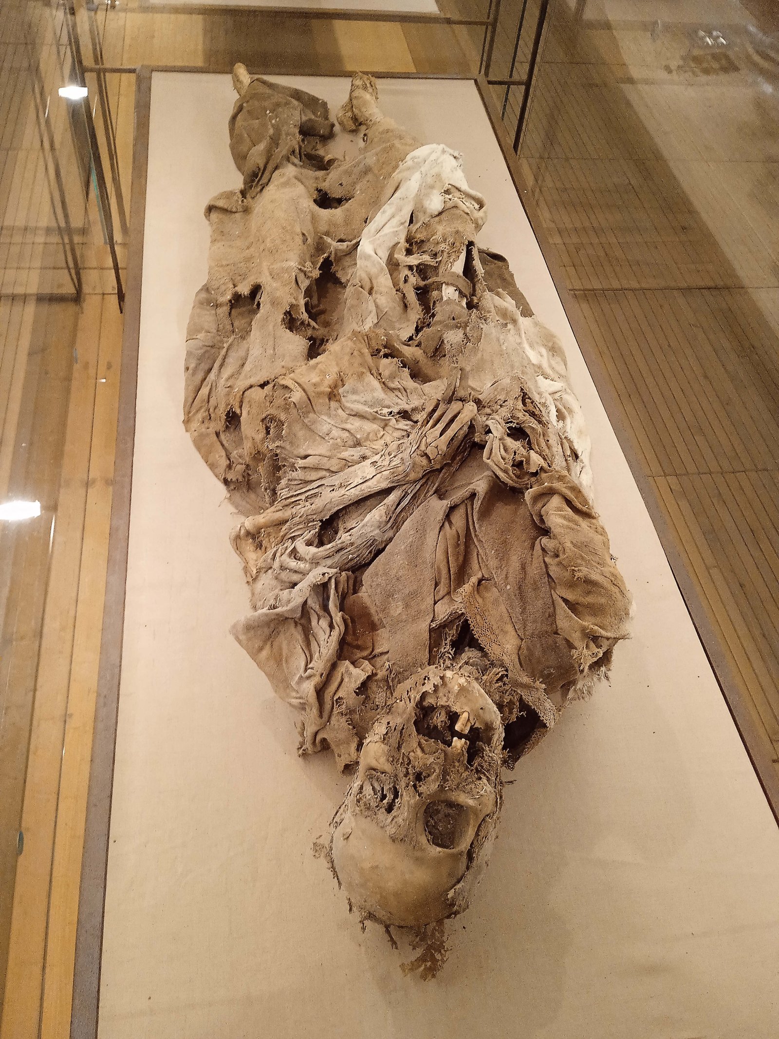 Museum crypt ing Monsampolo - Monsampolo del Tronto | Secret World Trip Planner