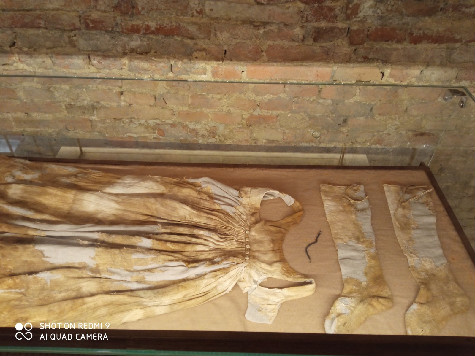Museum crypt ing Monsampolo - Monsampolo del Tronto | Secret World Trip Planner