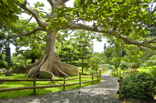 Giardino Botanico Nazionale - Santo Domingo | Secret World Trip Planner