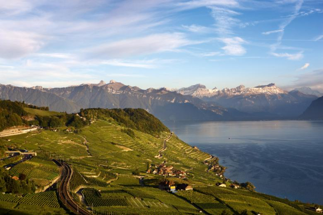 Lavaux، سوئس انگور کے باغ یونیسکو کا ورثہ۔ - Distretto di Lavaux-Oron | Secret World Trip Planner