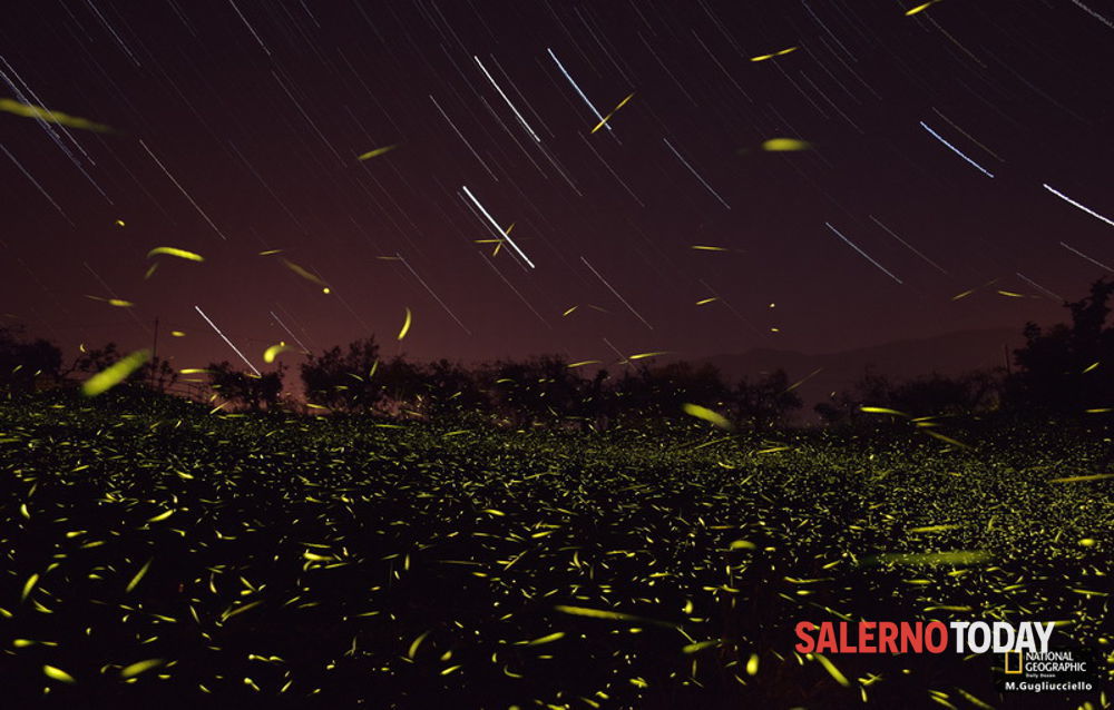 जादुई fireflies के - Ponte Oliveto-bagni | Secret World Trip Planner