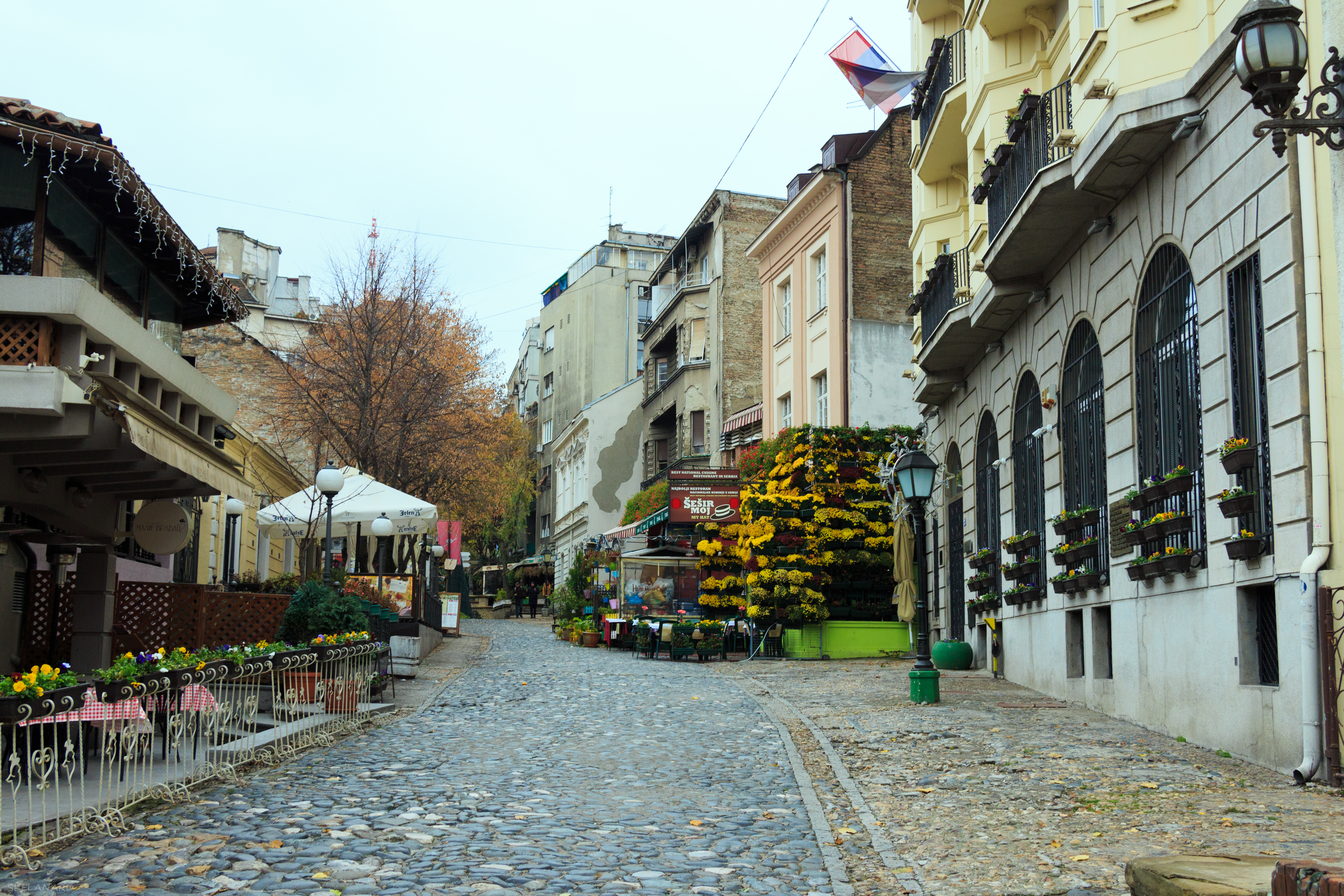Skadarlija : les quartiers les plus populaires de Belgrade - Belgrade | Secret World Trip Planner