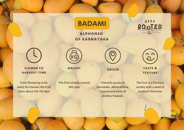 Badami l'Alphonse du Karnataka - Badami | Secret World Trip Planner