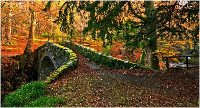 Parc forestier de Tollymore - Bryansford Rd | Secret World Trip Planner