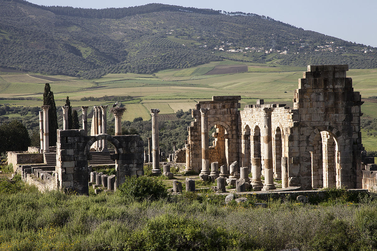 Site archéologique de Volubilis - Meknes | Secret World Trip Planner