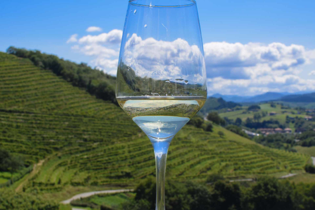 Vin de Txakoli - San Sebastián | Secret World Trip Planner