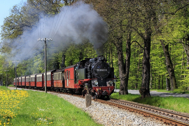 Treno per la spiaggia di Mecklenburg Molli - Bad Doberan | Secret World Trip Planner