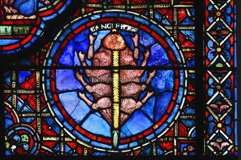 Signes zodiacaux de la cathédrale de Chartres - Chartres | Secret World Trip Planner