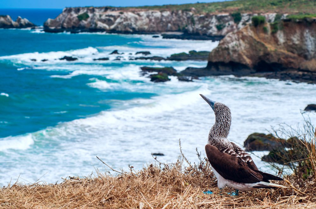 Machalilla-Nationalpark - Puerto López | Secret World Trip Planner