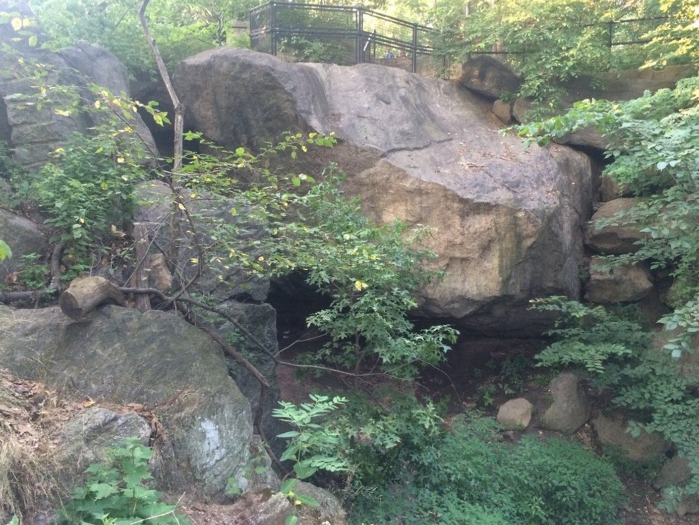 Divagar Cova, A cova secreta de Central Park - New York | Secret World Trip Planner