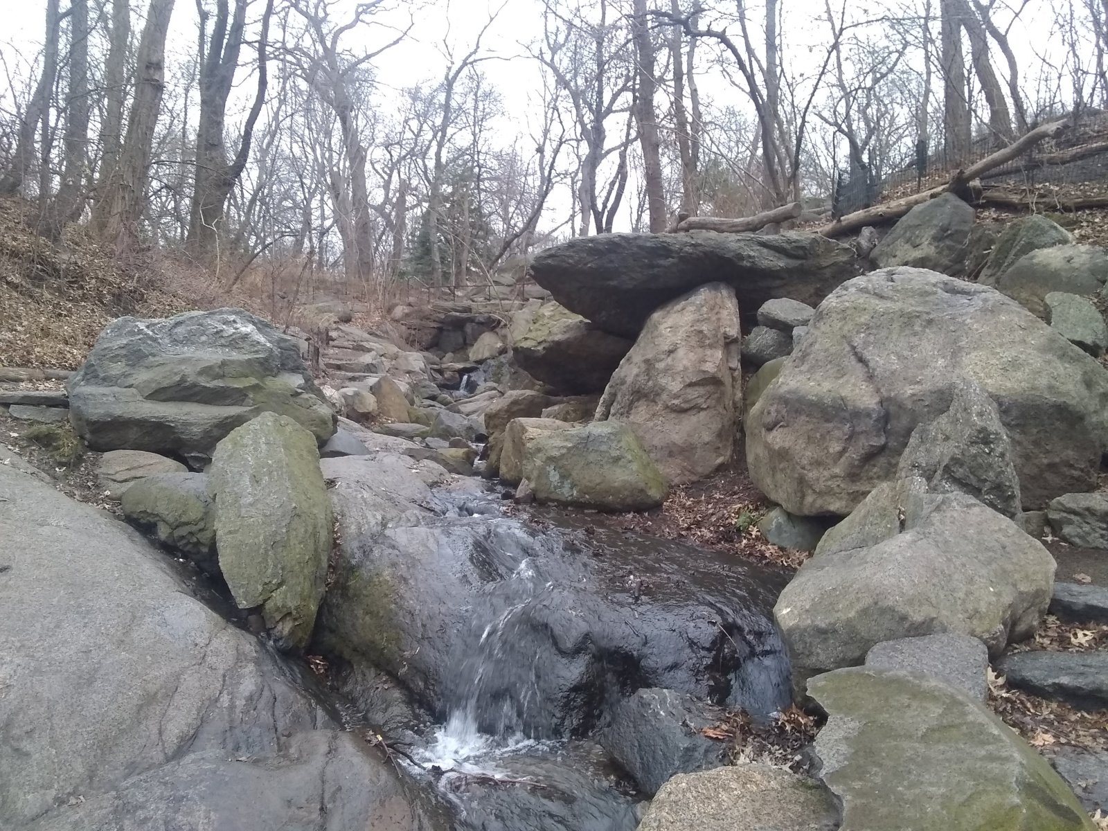 Divagar Cova, A cova secreta de Central Park - New York | Secret World Trip Planner