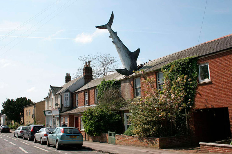 Lo squalo di Headington — 2 New High St
