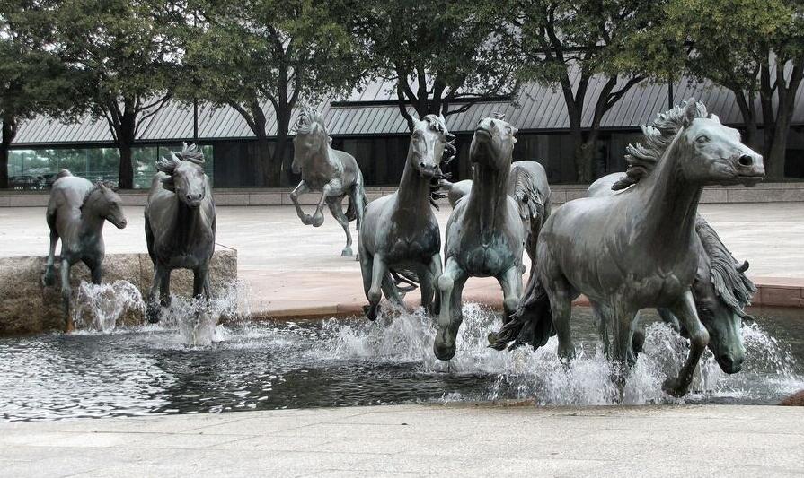 Les phénoménales Mustangs de Las Colinas de Glens — Irving