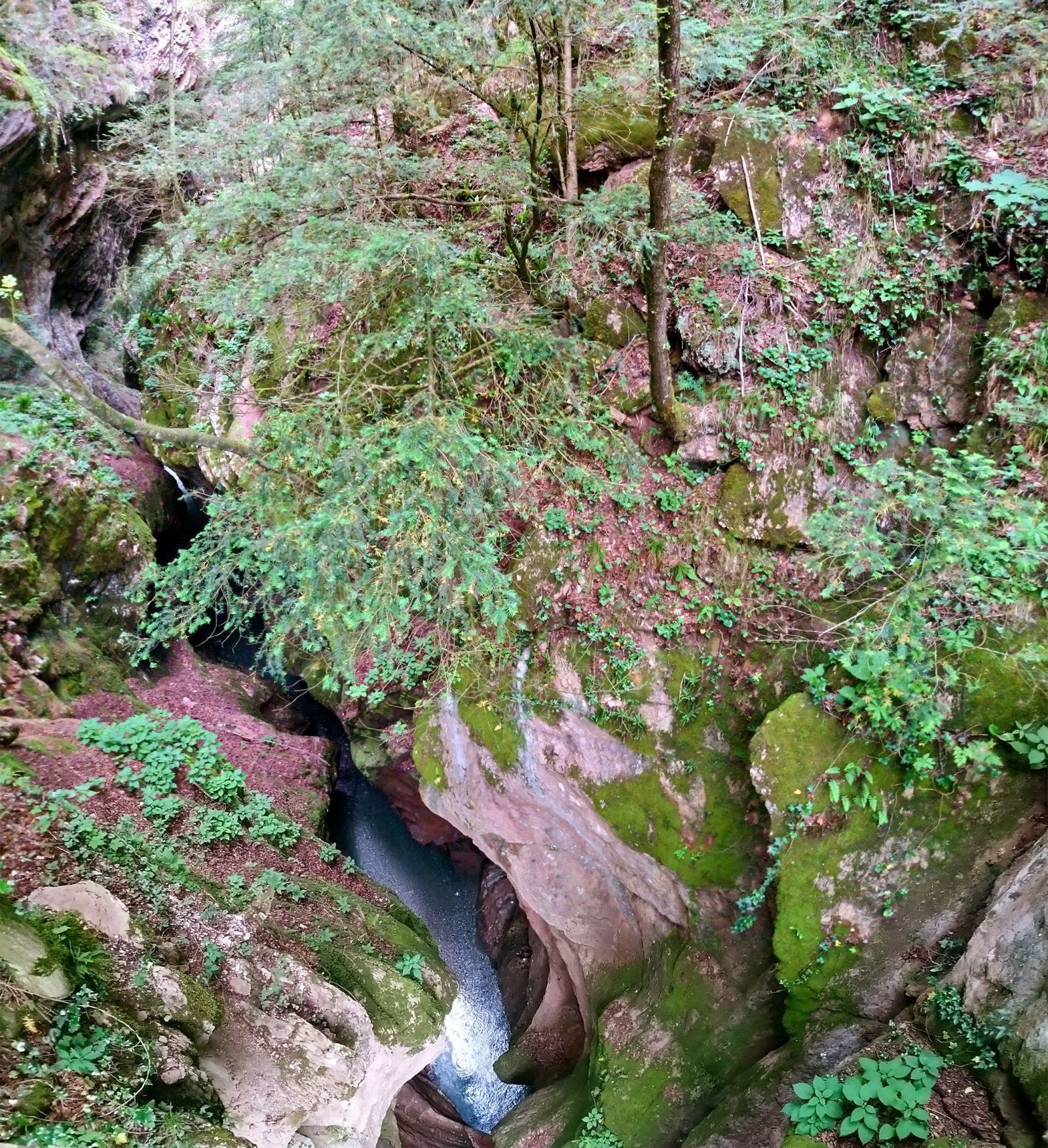 Ngarai Ardo stream - Belluno | Secret World Trip Planner