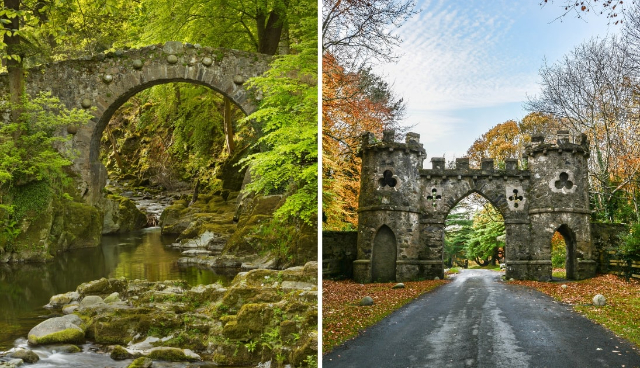 Tollymore Waldpark - Bryansford Rd | Secret World Trip Planner