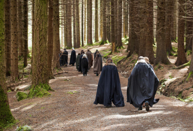 Tollymore Waldpark - Bryansford Rd | Secret World Trip Planner