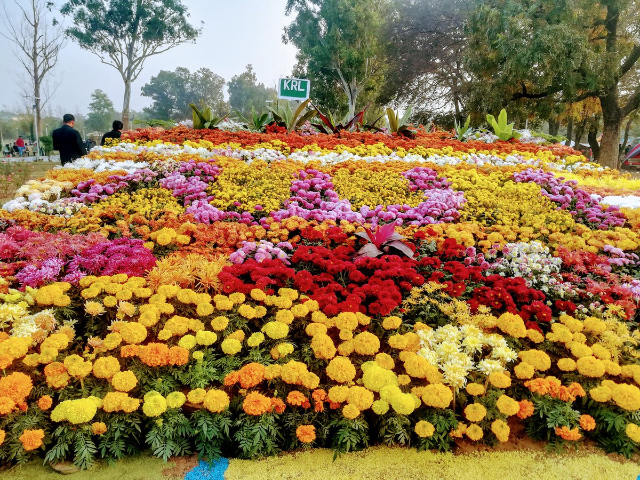 The Rose & Jasmine Garden - Islamabad | Secret World Trip Planner
