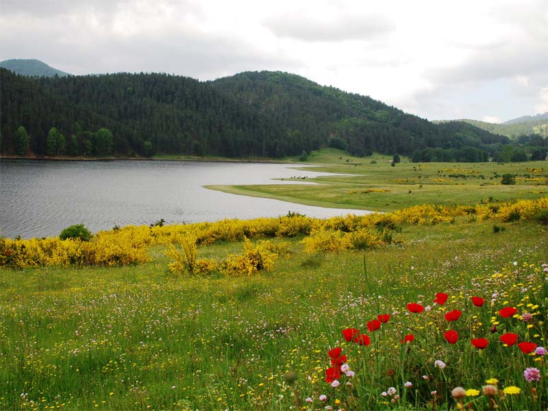 lawa ampollino - Lago Ampollino | Secret World Trip Planner
