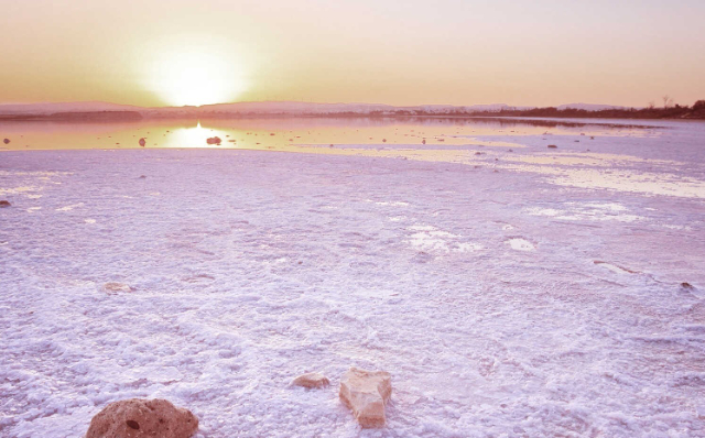 Salzsee von Larnaca — Larnaca
