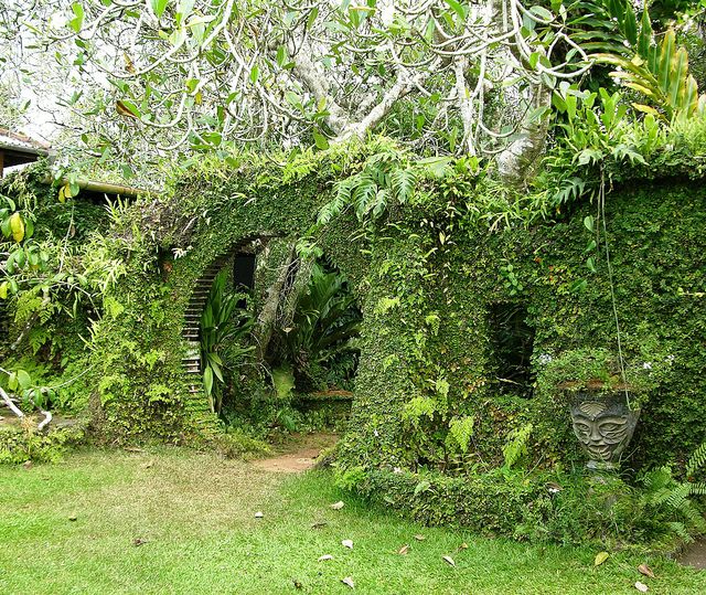 Brief Garten - Beruwala | Secret World Trip Planner