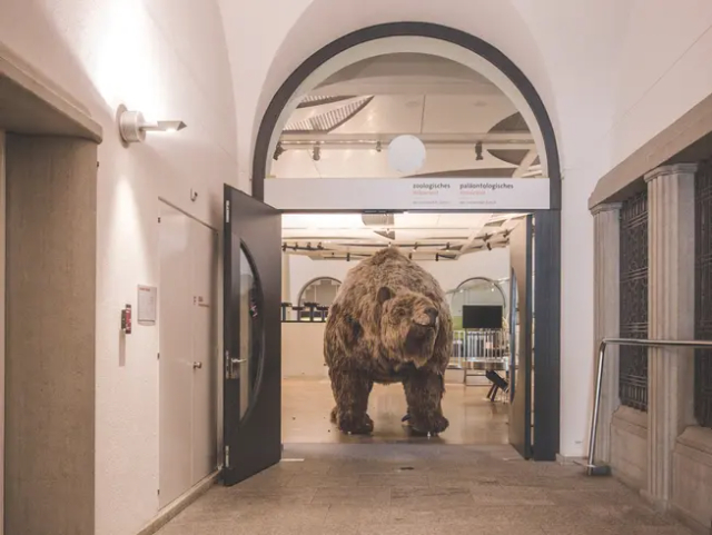 Musée zoologique, Université de Zurich - Zürich | Secret World Trip Planner
