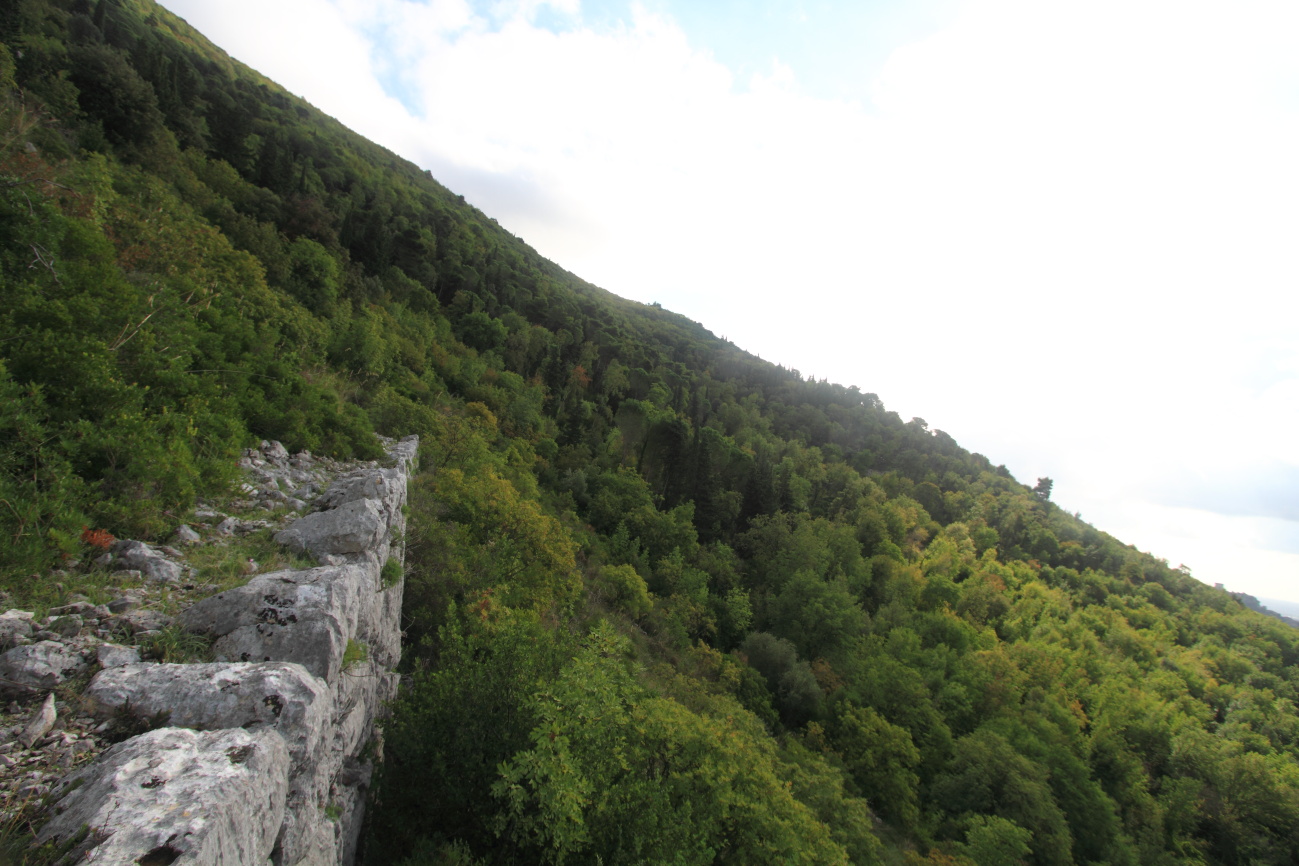 Necropola de la Caraputa - Sermoneta | Secret World Trip Planner