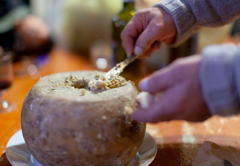 Casu Marzu - Italia - Sardegna | Secret World Trip Planner
