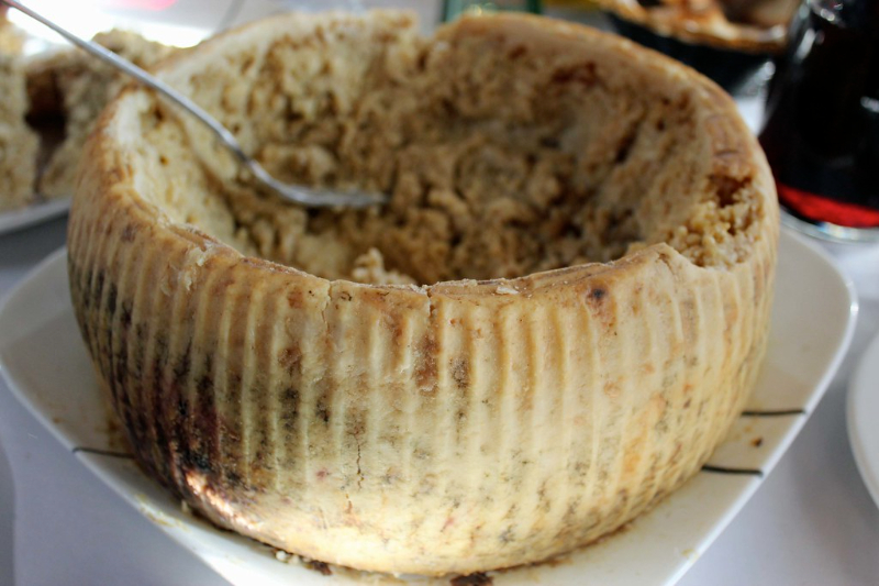 Casu Marzu - Italia - Sardegna | Secret World Trip Planner