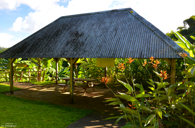 Musée de la Banane (Le Musee de la Banane) - Sainte-Marie | Secret World Trip Planner