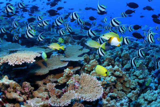 Meerespark Montego Bay - Montego Bay | Secret World Trip Planner