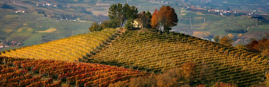 Barolo and its wine - Barolo | Secret World Trip Planner