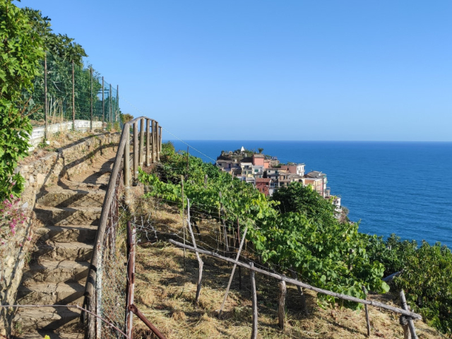 Zilais ceļš - 19016 Vernazza SP | Secret World Trip Planner