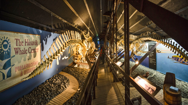 Walmuseum - Húsavík | Secret World Trip Planner