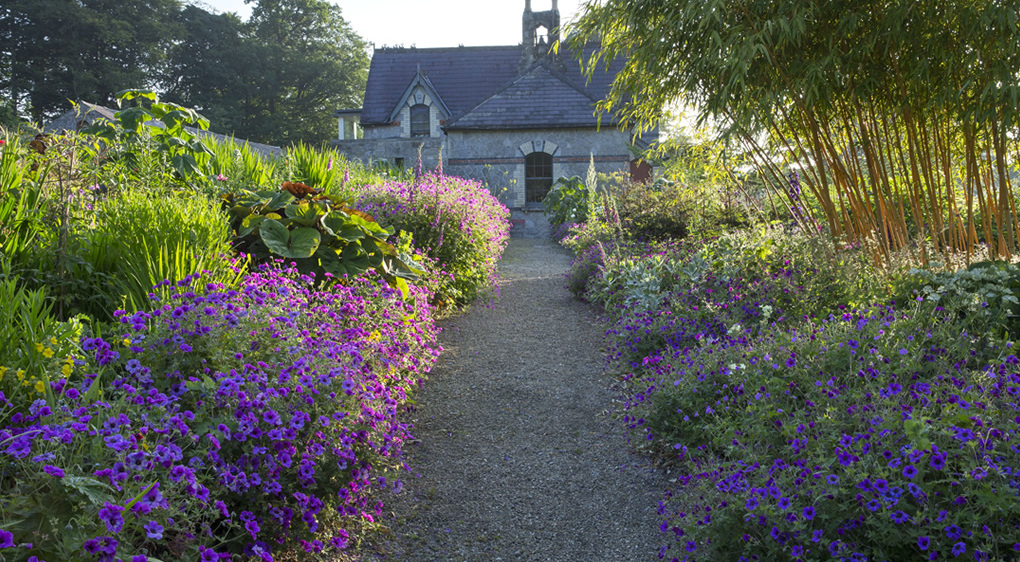 La maison de June Blake — Blessington