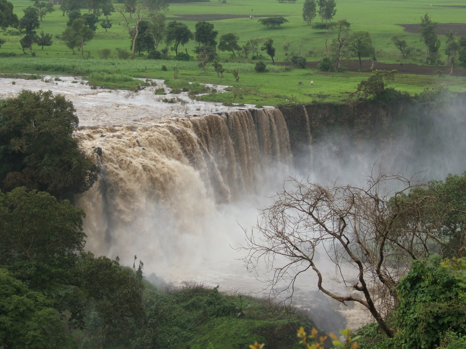 Les chutes du Nil Bleu : une cascade sur le Nil Bleu - Cascate del Nilo Azzurro | Secret World Trip Planner