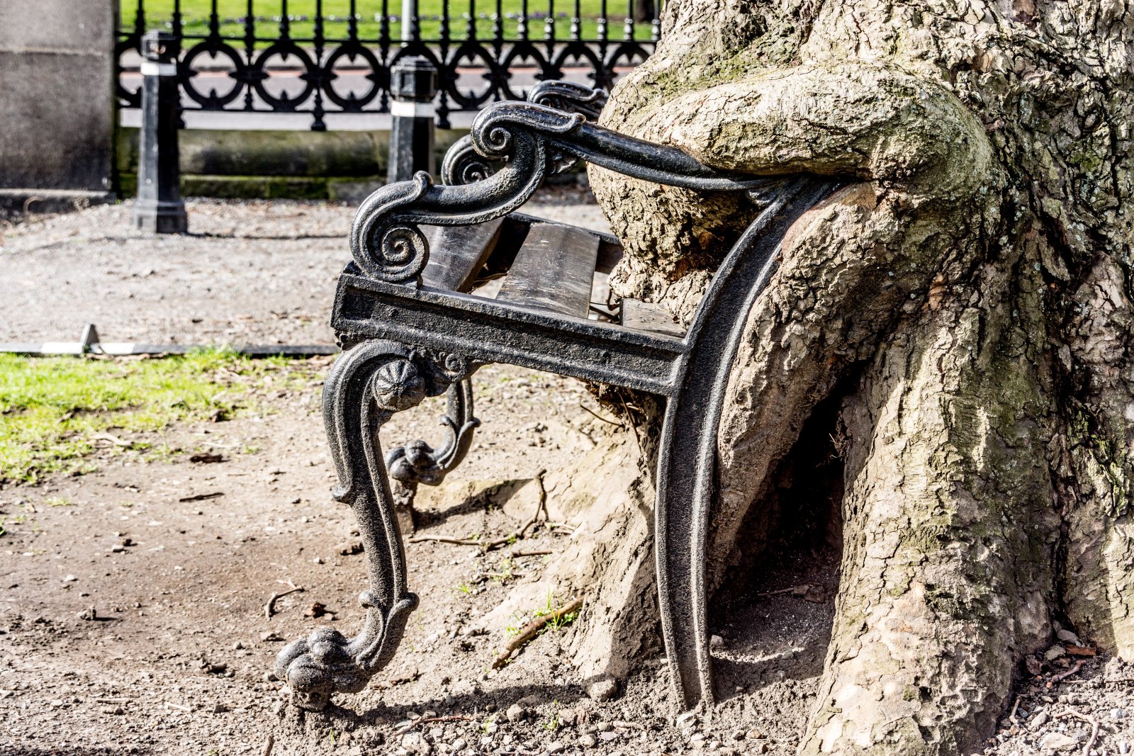 Dublin | L'arbre de la faim - Dublin | Secret World Trip Planner