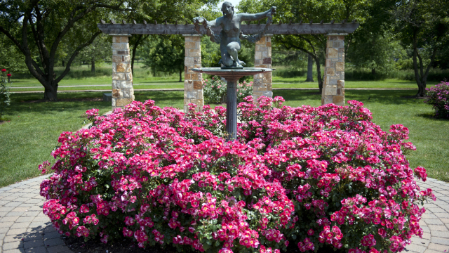 Jardin de roses Malcolm Gross - Allentown | Secret World Trip Planner