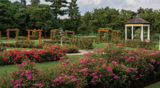Jardin de roses Malcolm Gross - Allentown | Secret World Trip Planner