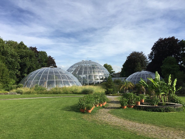 Botanischer Garten — Zürich
